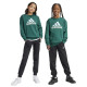 Adidas Παιδικές φόρμες σετ Essentials Big Logo Fleece Tracksuit